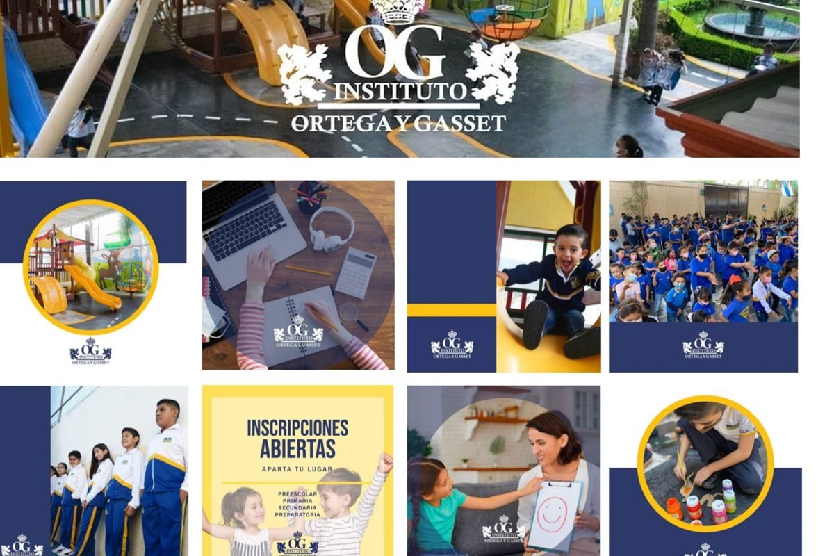 Publicaciones de redes sociales para el Instituto Ortega y Gasset