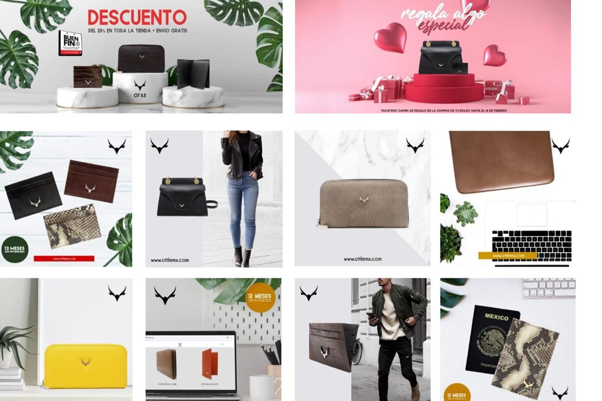 Publicaciones de redes sociales para OT ILE, accesorios de piel